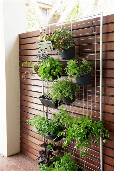 How To Grow A Vertical Herb Garden Better Homes And Gardens