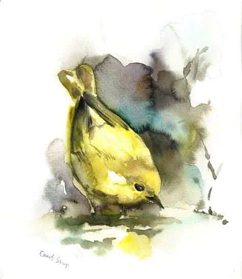 Bird Painting Yellow Warbler Original Watercolor By Canotstop Bird