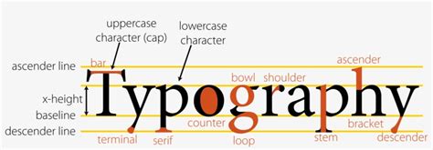Anatomy Of Typography Anatomy Of Typography Type Anatomy Graphic Images