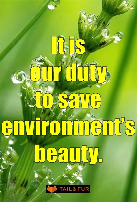 Heart Touching Sayings And Slogans On Save Environment