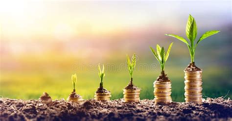 The dream of making a better future can never be completed in a day. Growing Money - Plant On Coins Stock Image - Image of ...