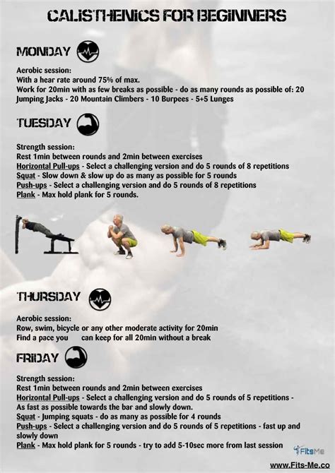 5 Day Calisthenics Workout Plan For Beginners Reddit For Build Muscle