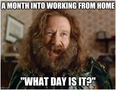 Best Working From Home Memes Of