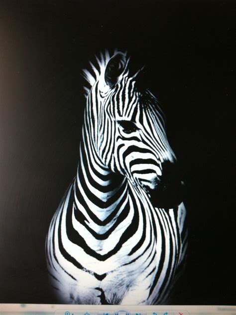 17 Best Images About Paint Giraffes Zebras Hippos