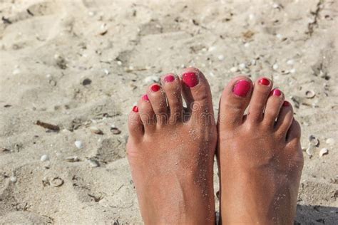 Beach Pedicure Stock Image Image Of Foot Sand Creativity