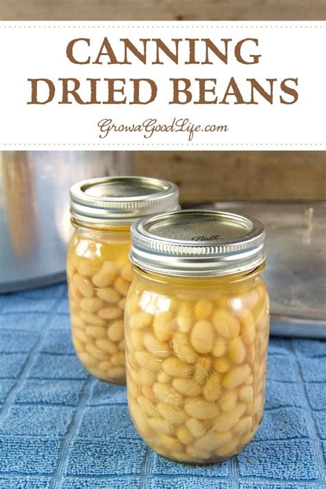 canning dry beans in pressure cooker simple chef recipe