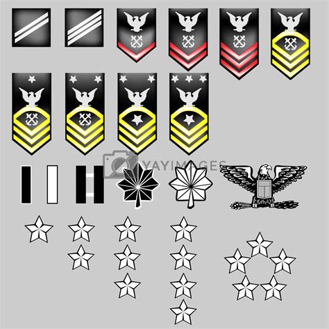 Us Navy Rank Insignia Officers Enlisted Stock Vector Royalty Free