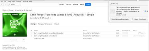 James Carter And Ofenbach Cant Forget You Feat James Blunt