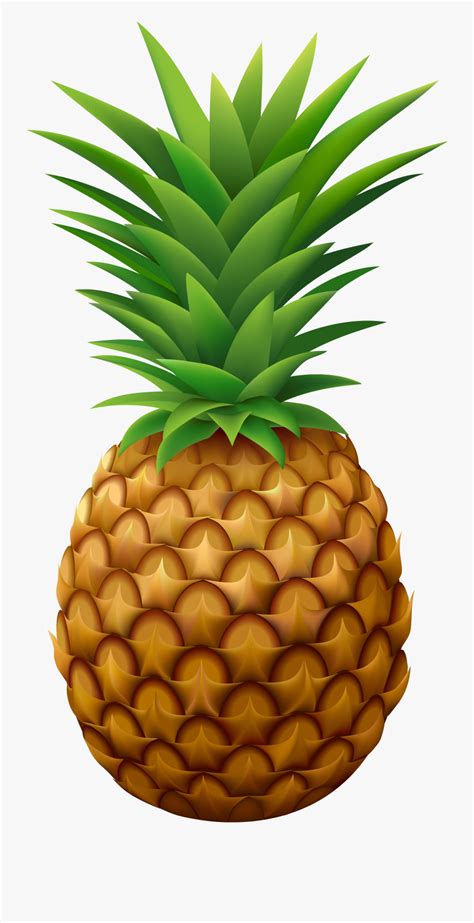 Pineapple Clipart Png Free Transparent Clipart Clipartkey