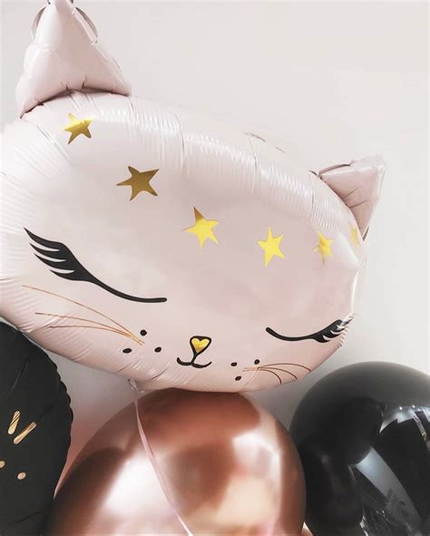 Cat Balloons Cat Party Cat Party Decoration Kitty Cat Party Etsy