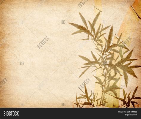 Bamboo Traditional Image And Photo Free Trial Bigstock