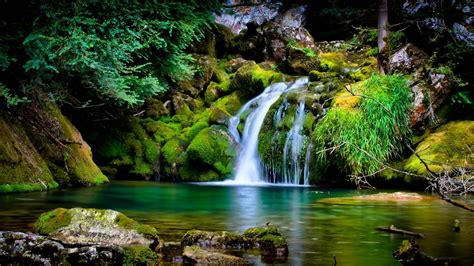 Beautiful Scenery Waterfalls On Green Algae Covered Rocks In Forest
