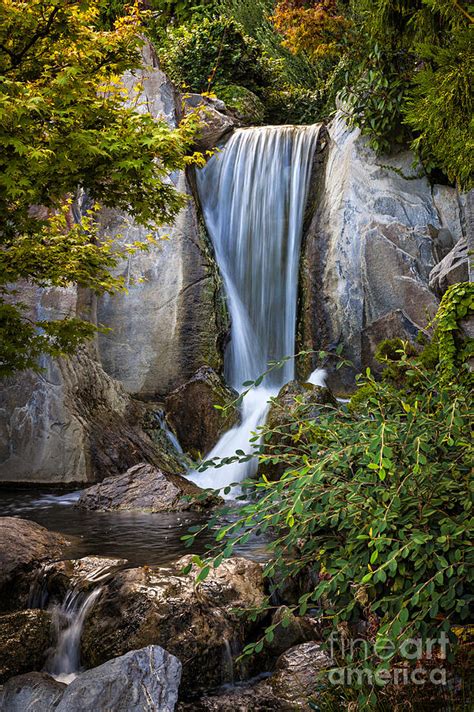Waterfall In Japanese Garden Photograph By Elena Elisseeva Pixels