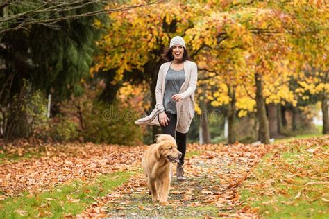 Happy Woman Walking Her Golden Retriever Dog In A Park With Fall Stock