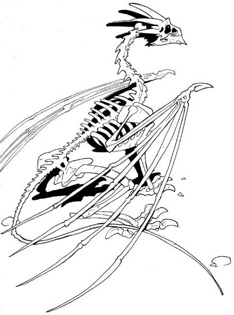 Skeleton Dragon Coloring Dinosaur Pages Drawing Bones Draw Clipart Clip Step Bone Fossil