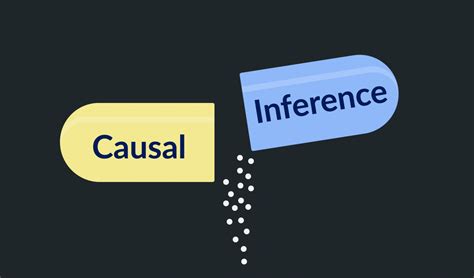 Causal Inference Introduction To Causal Effect Estimation Inovex Gmbh
