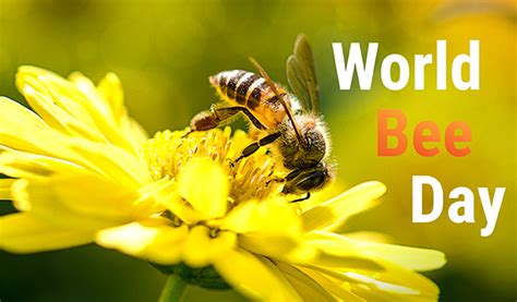 World Bee Day People Powering Life