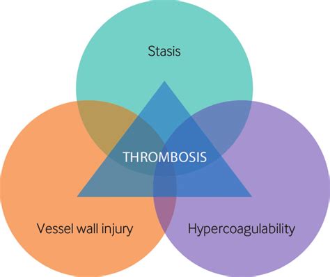 Virchows Triad Of The Three Broad Categories Of Factors That Are