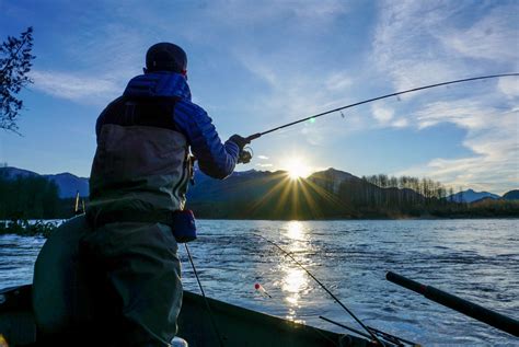 Skagit River Fish Report