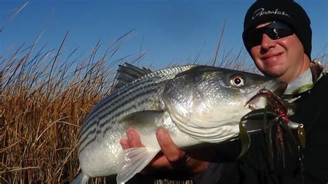 DIRTY WATERS DELTA STRIPED BASS YouTube