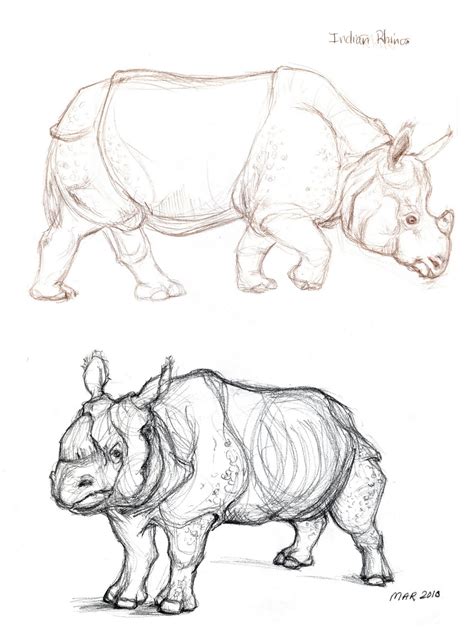 Art Kimistry Animal Drawings From Reference
