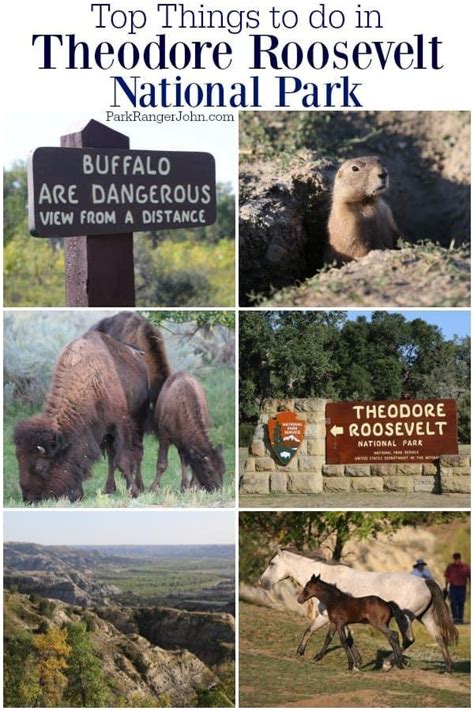 We did not find results for: Things to do Theodore Roosevelt National Park in North ...