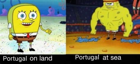 Spain has sacked their coach julen lopetequi 1daybefore the world cun. Finally some good Portugal memes : HistoryMemes