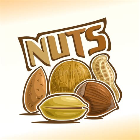 Vector Illustration Of Nuts Stock Vector Illustration Of Label