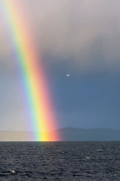 Premium Photo A Rainbow Over The Sea Landscape