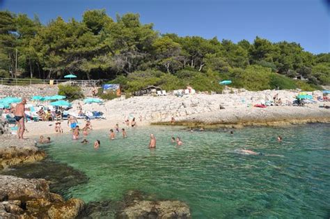 Spiaggia Naturista Fkk Mali Losinj All You Need To Know Before You Go With Photos