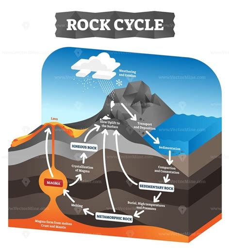 Rock Cycle Transformation And Stone Formation Process Labeled Outline Diagram VectorMine