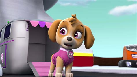 Watch PAW Patrol Season Episode Pups And The Big Freeze Pups Save A Basketball Game Full