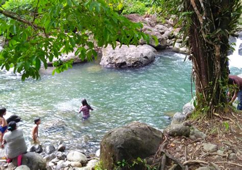 (1) berdasarkan hasil penelitian, tahun ini luas hutan bakau di indonesia sangat berkurang sekali (2) sebagian besar lahan hutan bakau berubah fungsi menjadi tambak udang maupun ikan. Serahkan Puluhan Usulan Hutan Kelola Rakyat, Sumbar ...