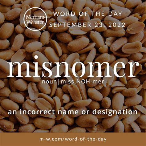Word Of The Day Misnomer In 2022 Word Of The Day Merriam Webster Words