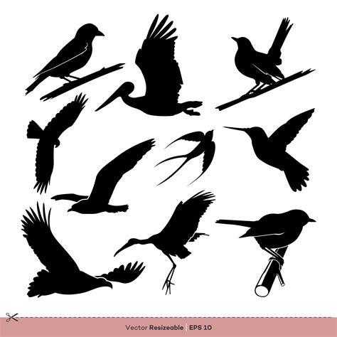 Bird Silhouette Set Vector Template Illustration Design Download Free