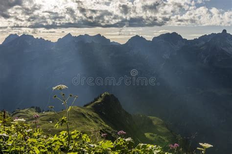 Sunrays Over Mountains Stock Photo Image Of Plants Shining 75933432