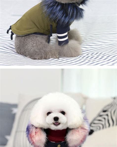 Glorious Kek Winter Dog Clothes Luxury Faux Fur Collar Dog Coat For