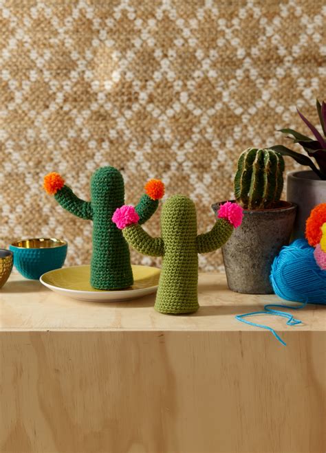 Australia canada france germany greece ireland italy japan new zealand poland portugal russia spain the netherlands. Free Project | Crochet Cactus