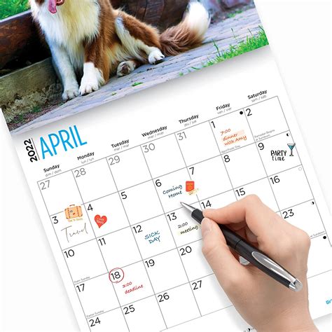 2022 Border Collies Wall Calendar By Bright Day 12 X 12 Inch Cute Dog