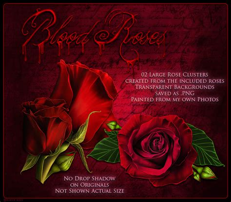 Blood Roses 2d Graphics Sveva