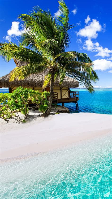 1920x1080px 1080p Free Download Tropical Paradise Beach Blue Hut