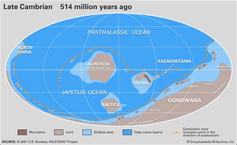 Cambrian Period Facts And Information Paleontology World