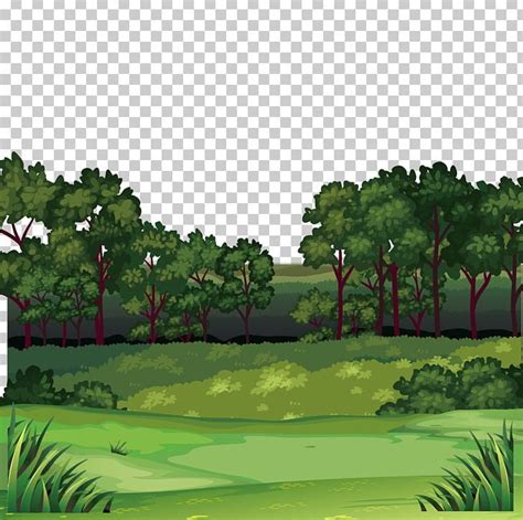 Forest PNG Biome Cartoon Clip Art Drawing Ecosystem Forest Cartoon Cartoon Clip Art