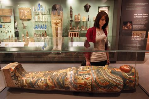 the ashmolean museum unveil their new ancient egyptian galleries in oxford