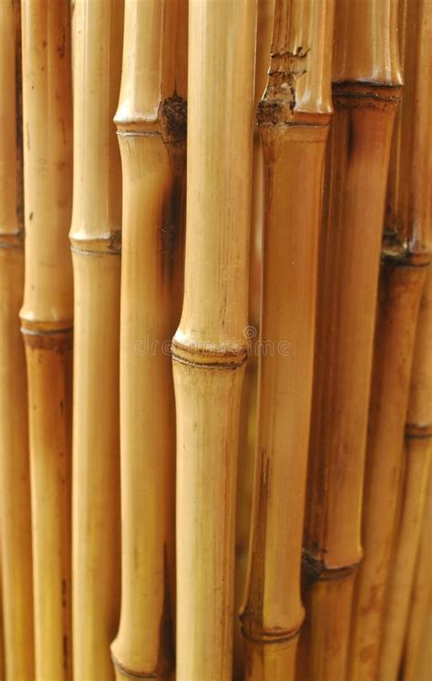 Japanese Bamboo Background Stock Image Image Of Natural 2800985