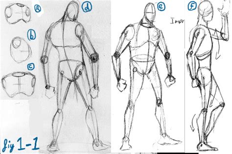 My Fyp Project Research David Finch Dynamic Figure Drawing Body 02