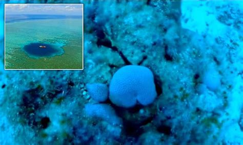 World S Deepest Underwater Sinkhole Shown In Incredible Video Daily Mail Online