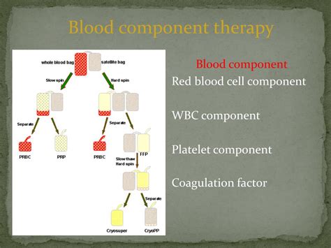 Ppt Adverse Reaction Of Blood Transfusion Powerpoint Presentation