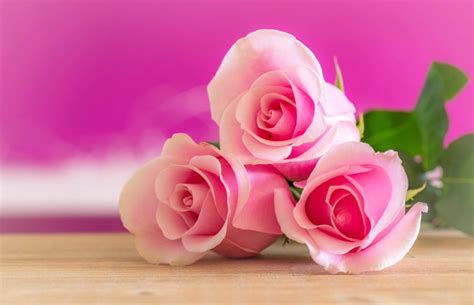Rose rosse,fiori di riso, fiore del corallo, orchidee phanelopsis,alstroemeria, viburno e pittosforino. Idee regalo economiche per la festa della mamma - A Casa ...