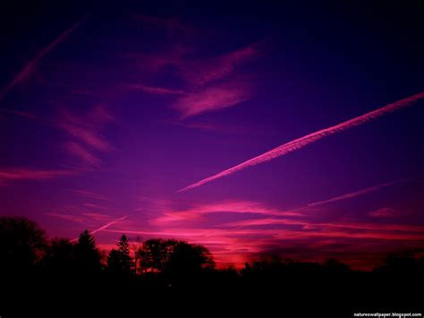 Download Purple Red Wallpaper By Monicaw Purple And Pink Sunset